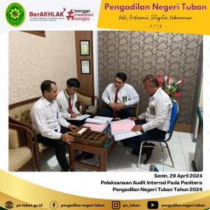 AUDIT INTERNAL
